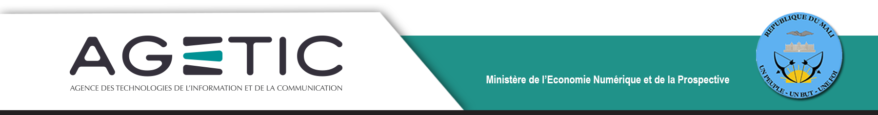Country Partner Logo
